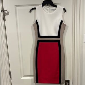 Calvin Klein Colorblock Dress